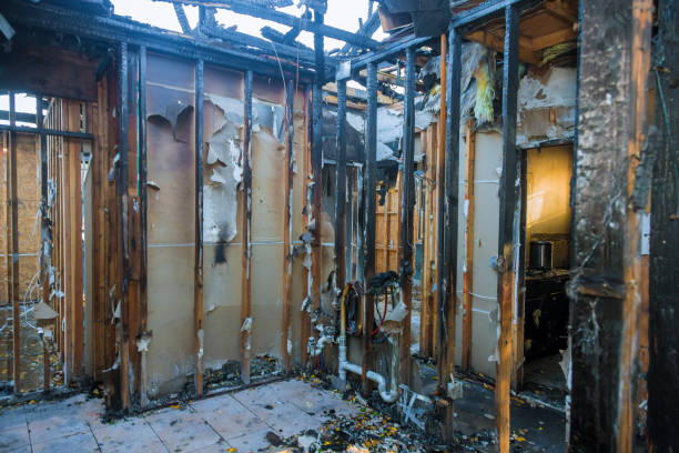 Professional Fire Damage Repair technician working in Clearwater, FL
